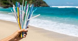Eliminating plastic straws